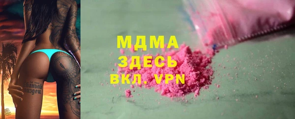 шишки Белокуриха