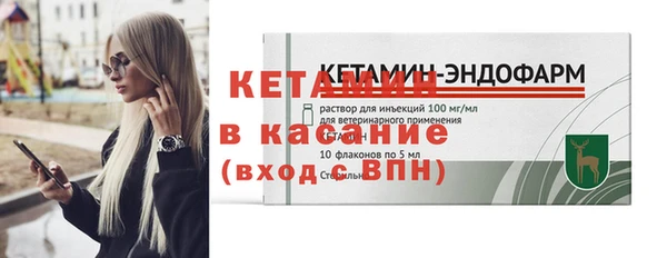 шишки Белокуриха