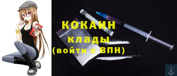 шишки Белокуриха