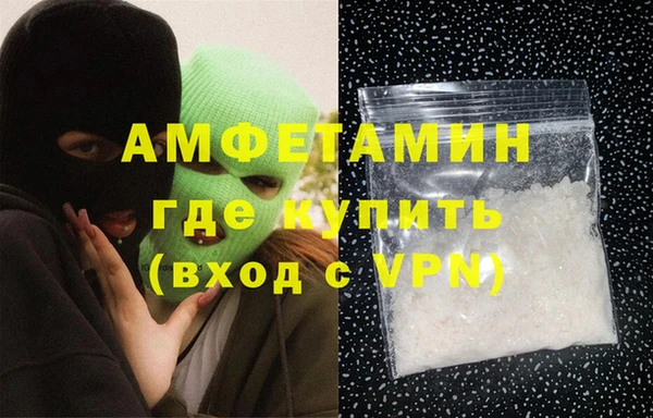 шишки Белокуриха