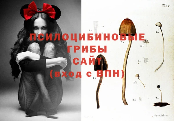 прущие грибы Белоозёрский